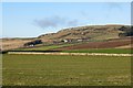 Fields, Westerton