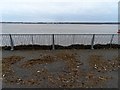 Debris swept onto Otterspool Promenade by high tide