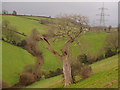 Valley near Kittisford Farm