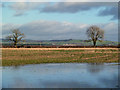 Farmland at Bankend