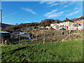 Molehills, allotments and houses, Fernlea, Risca