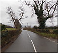 Itton Common road from Devauden