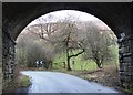 Railway bridge near Normans Farm