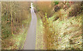 Frosty Comber Greenway, Belfast