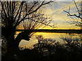 Chelt flood reflections, 3