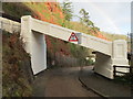 SX9265 : Cliff railway bridge over road by David Hawgood