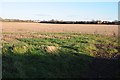 Stubble field near Huntington