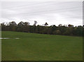 Farmland west of Scorton