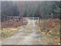 Gated forestry road near Newtown