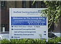 Jessop Wing Sign, Tree Root Walk, Broomhill, Sheffield