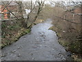 River Worth - Dalton Lane