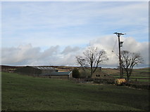 SD9547 : Kirk Sykes Farm by John Slater