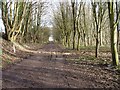 Track leading to Preston Park Tetbury