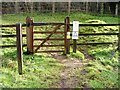 A gate in Preston Park Tetbury