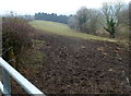 Partly muddy field in Crocker