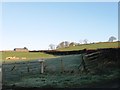 Fields near Glan-Dwr