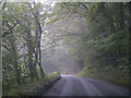 Road just south of Carnglaze Caverns