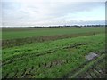 Farmland west of Old Lane