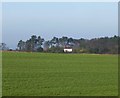 NU1429 : Arable fields near Lucker by Russel Wills