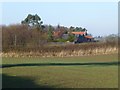 View across the fields to The Nest