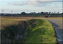 SK6210 : Horse riders on Barkby Lane by Mat Fascione