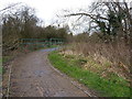 Path and footbridge in the park