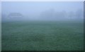 Foggy morning in Fraser Park
