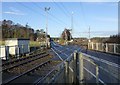 Oblique Level Crossing at Falloden