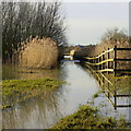 SO9031 : Swilgate floods, Tewkesbury by Jonathan Billinger