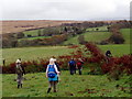 Llwybr Gellionen Path