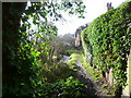 Riverside path in the Loose Valley