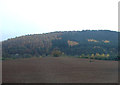 Farmland, Low Baron Wood Farm