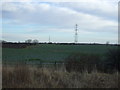 Crop field and power lines