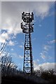 Telecoms mast, Lea Green railway station