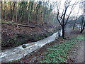 Vigorous Angiddy flows past Lower Wireworks car park, Tintern