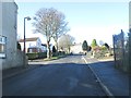 Stretchgate Lane - viewed from Albert View