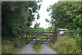 Entrance, The Paddock