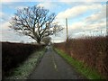 Watery Lane, Pickhill