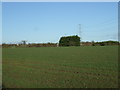 Farmland and power lines