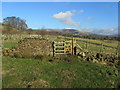 On the Footpath between Wiswell and Sabden (3)