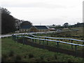 Burnwynd Racing Stables