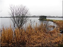 H5776 : Loughmacrory Lough by Kenneth  Allen