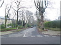 Lady Wood Road - Springwood Road