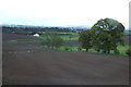 Farmland, Lowfield