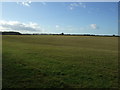 NZ4331 : Farmland near High Wood by JThomas