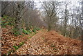 Footpath, West Leithe