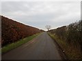 NT9162 : Hedge lined country road near Alemill by Graham Robson