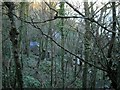 Outbuildings and a caravan, Dingley Dell, Teignmouth