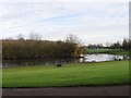 Lake in Braunstone Park