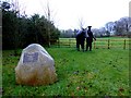 Sculptures along Strathroy Road